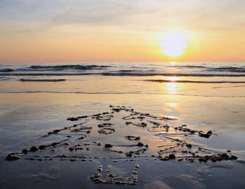 spend your christmas holiday on the beach in hilton head christmas tree in the sand