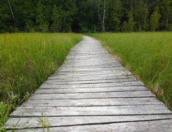 beautiful boardwalk coastal discovery museum hilton head island