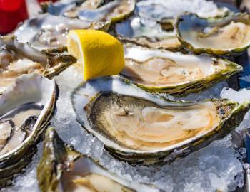 oysters on the half shell with lemon