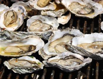 Oysters on a grill at an oyster roast on Hilton Head Island