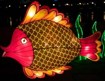A fish lantern at the Lantern Parade on Hilton Head Island