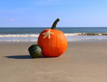 cute pumpkins on the beach in october