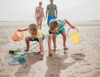 A family shelling on the beach on Hilton Head Island