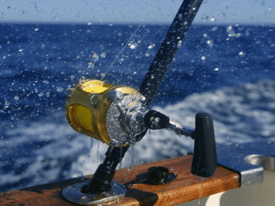 deep sea fishing charter deep sea fishing charter rod and reel