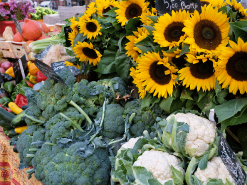 farmers markets farmers markets