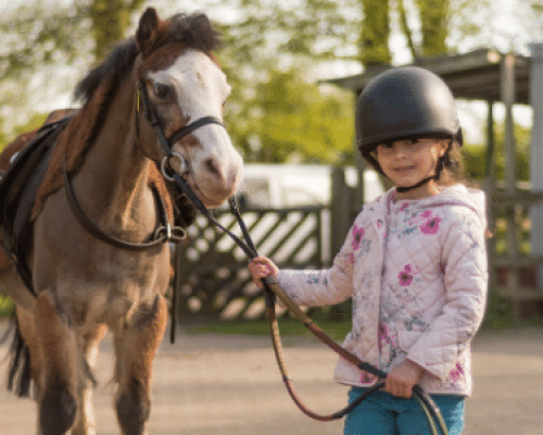 pony horseback riding pony horseback riding