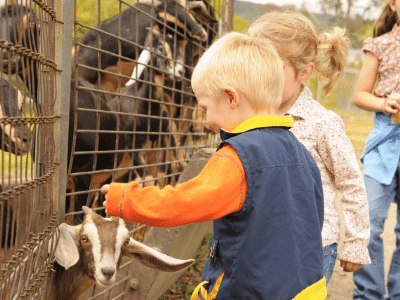 kids at petting zoo